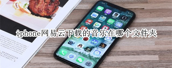 iphone网易云下载的音乐在哪个文件夹