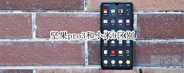 坚果pro3和小米9区别