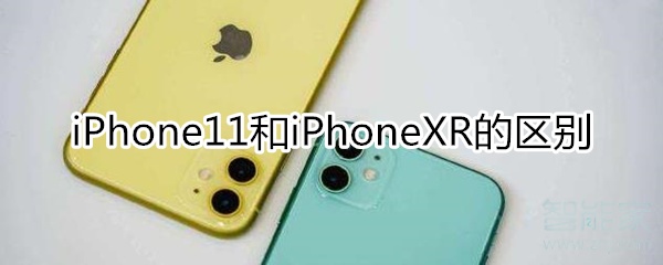 iphone 11和iphone xr的区别