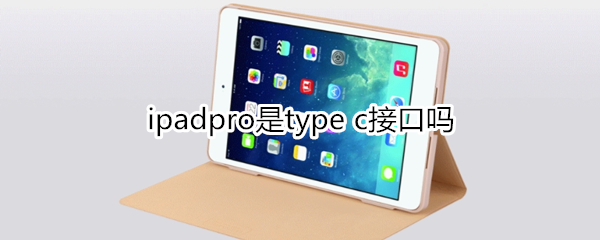 ipadpro是type c接口吗