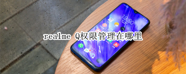 realme Q权限管理在哪里