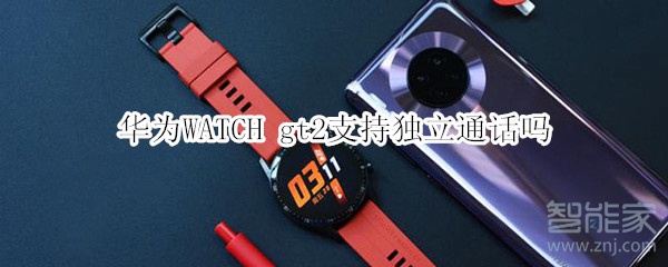 华为WATCH gt2支持独立通话吗