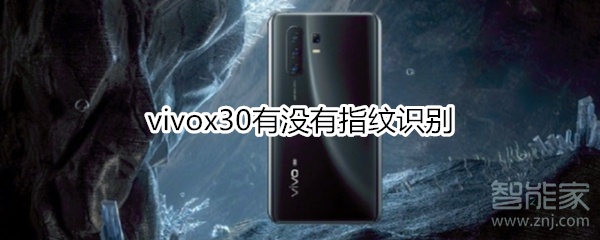 vivox30有没有指纹识别