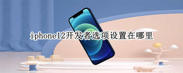 iphone12开发者选项设置在哪里（iphone 12开发者选项）