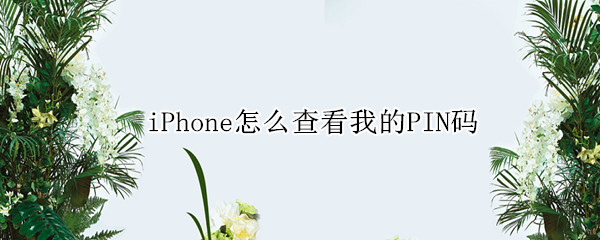 iPhone怎么查看我的PIN码（苹果平板pin码在哪里看）