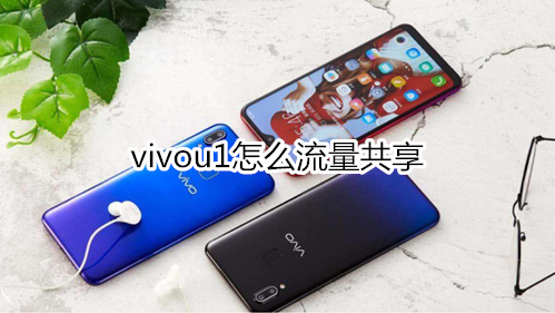 vivou1怎么流量共享