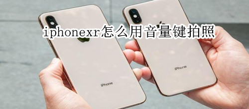 iphonexr怎么用音量键拍照