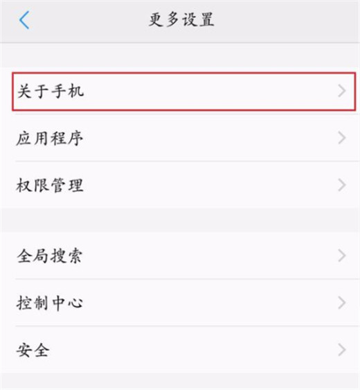 vivoz3怎么开启开发者选项