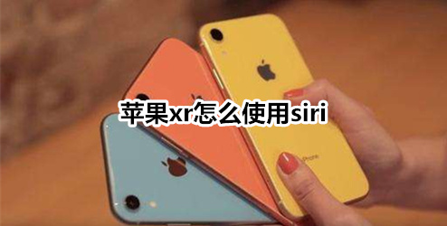 苹果xr怎么使用siri