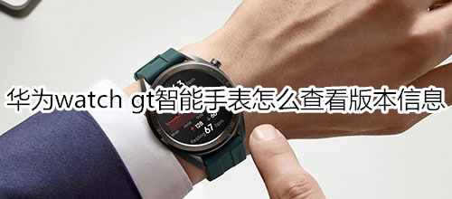 华为watch gt智能手表怎么查看版本信息