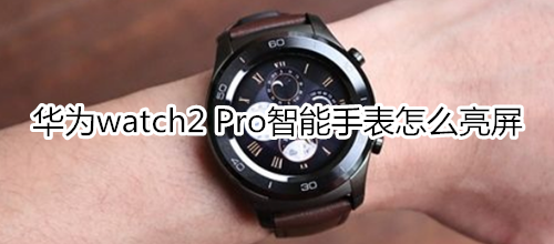 华为watch2 Pro智能手表怎么亮屏