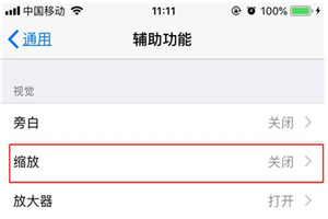 iPhonexs三指缩放怎么设置