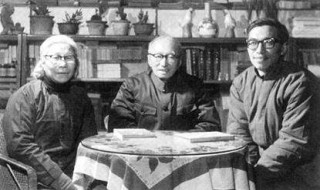 一只想飞的猫的作者 一只想飞的猫的作者是陈伯吹