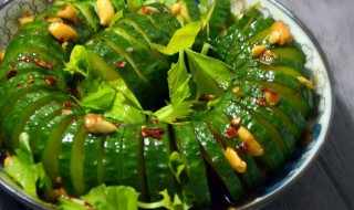 蓑衣黄瓜 如何做蓑衣黄瓜