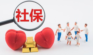 怎么查询社保卡卡号 社保卡号怎么查询