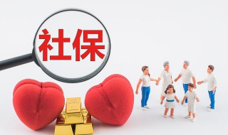 怎么个人交社保 自己个人如何缴纳社保