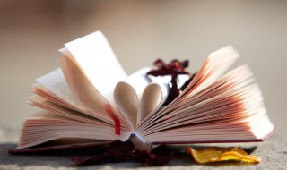 范仲淹怎么读 范仲淹的读音