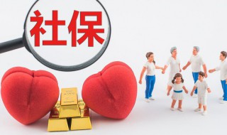 社保基数怎么查询 社保基数如何查询