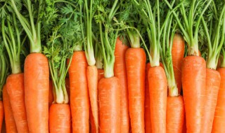 减肥可以吃胡萝卜吗 减肥能不能吃胡萝卜