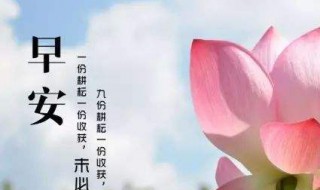 关于早上好朋友们的早安祝福句子 有关早安的说说