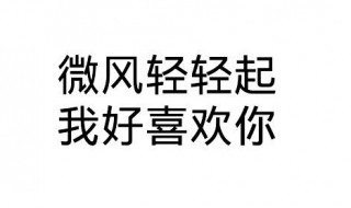 想谈恋爱的句子 这样写一定脱单