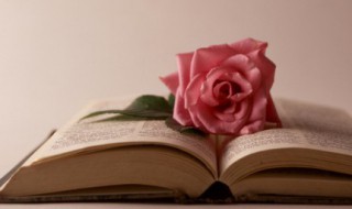 做人做事的格言和道理 做人做事的格言和道理集锦