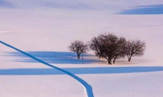 描写冬天雪的古诗 有关描写雪的古诗