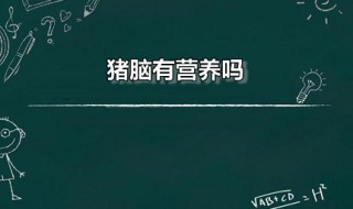猪脑有营养吗 猪脑的食疗价值有哪些