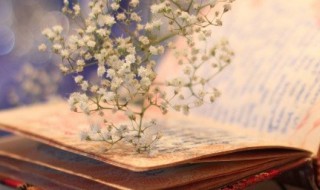 众望所归的意思 众望所归的解释