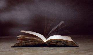 实词是什么意思 实词的意思