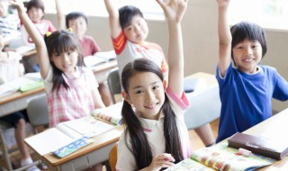 wolf什么意思中文 wolf解释