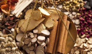 中医自考本科有什么条件与要求 中医自考本科条件与要求有什么