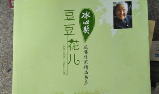 作者豆豆简介 作者豆豆简介是怎么样的呢