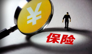 怎么查自己的保险 查询个人保险有哪些方式呢