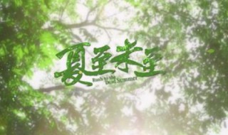 夏至未至片头曲谁唱的 夏至未至片头曲歌词展示