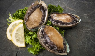 冰鲜鲍鱼怎么做好吃又简单方便 冰鲜鲍鱼怎么做