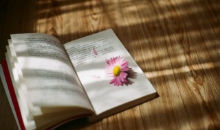 叫怎么组词 叫组词及释义