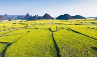 罗平旅游景点大全 罗平旅游景点推荐