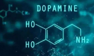 多巴胺是什么东西 多巴胺介绍