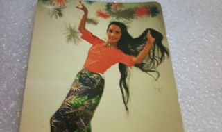 刀美兰简介 刀美兰的简介