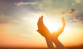 春光灿烂是什么意思 春光灿烂的意思