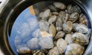 冷冻花蛤肉如何清洗 如何清洗冷冻花蛤肉