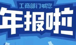 年报是什么意思 年报的含义