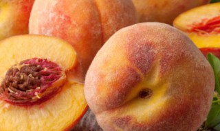 关于桃的诗句 关于桃的诗句精选