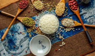 关于粮食的名言 有关粮食的格言