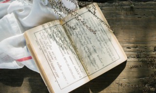 一夔已足意思 一夔已足意思是什么