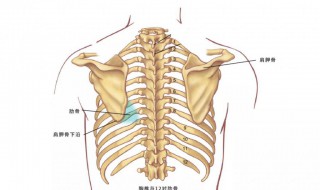 翼状肩胛是怎么引起的 翼状肩胛引起的原因