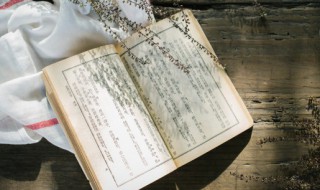 日上三竿有哪些造句 日上三竿造句