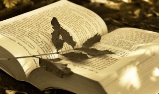 关于太阳的诗句有哪些 关于太阳的诗句带解释