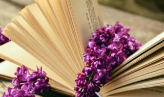 林海雪原创作背景是什么 林海雪原的介绍